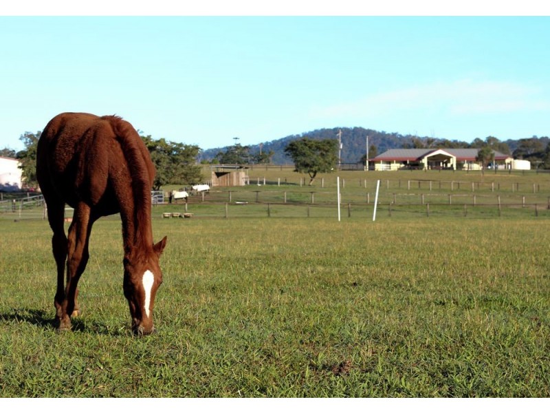 2995 Beaudesert-Beenleigh Road, Mundoolun QLD 4285