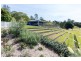 50 Ruth Miller Close, Fig Tree Pocket QLD 4069