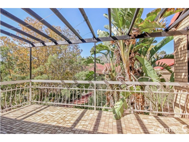 24/33 Bishop Street, St Lucia QLD 4067