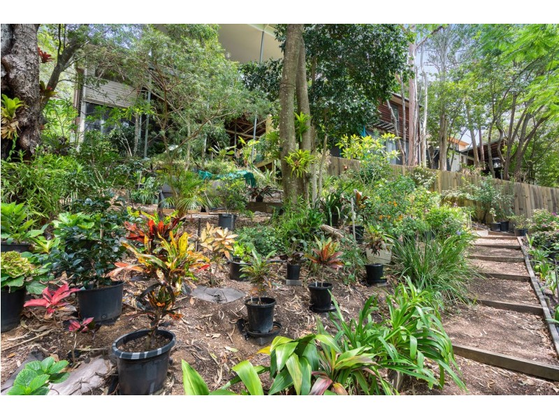 3 Blackstone Street, Indooroopilly QLD 4068