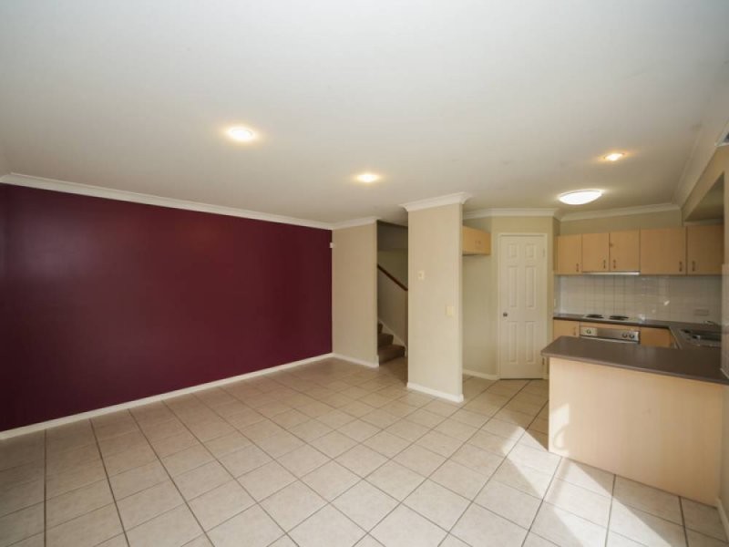 31 Bluetail Crescent, Upper Coomera QLD 4209