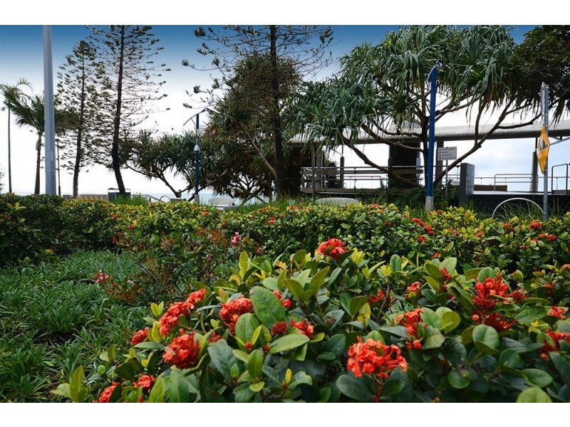 5/83 Buderim Avenue, Mooloolaba QLD 4557