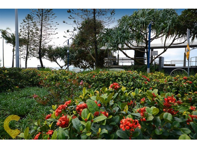 3/25 Woomba Place, Mooloolaba QLD 4557