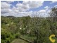 117 Birdwood Terrace, Auchenflower QLD 4066