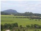19 Willis Road, Bli Bli QLD 4560