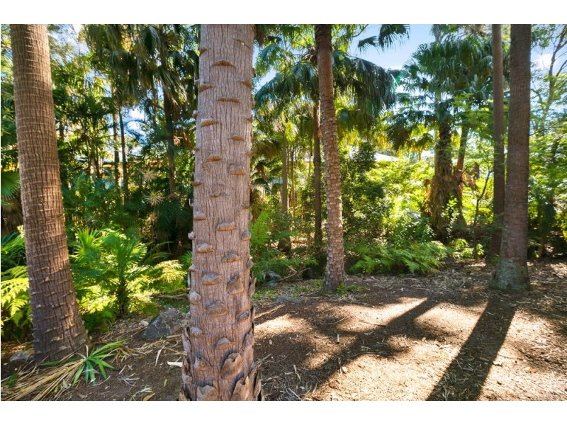 40/1 Poinsettia Court, Mooloolaba QLD 4557