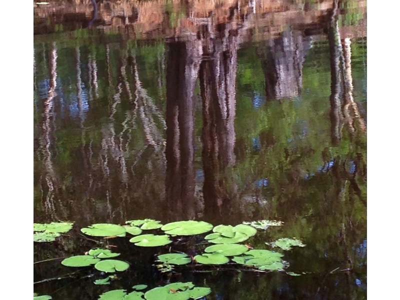 10 Andersen Road, Mooloolah Valley QLD 4553