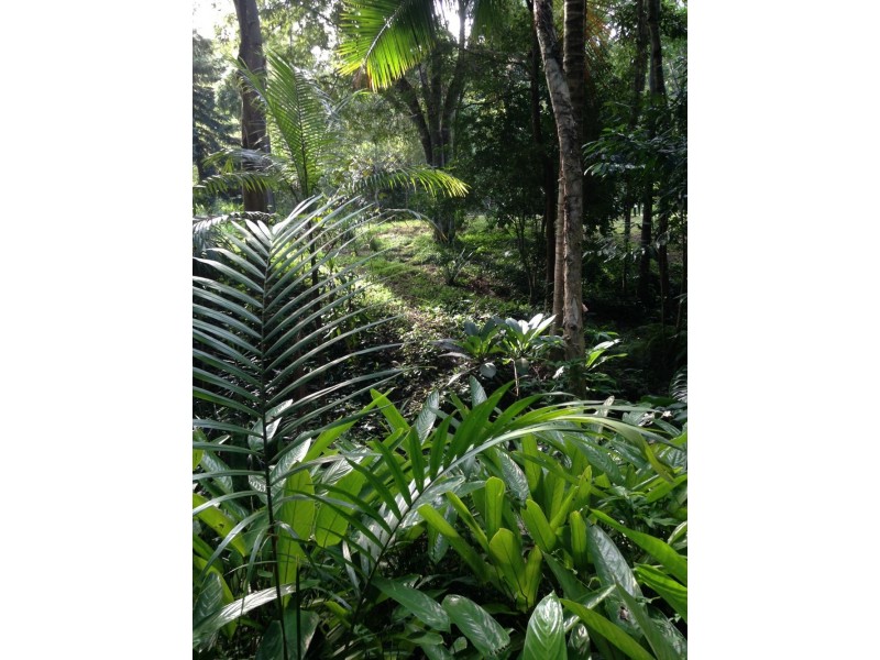 10 Andersen Road, Mooloolah Valley QLD 4553