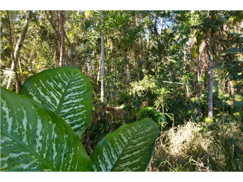 13 Boxwood Avenue, Kuluin QLD 4558