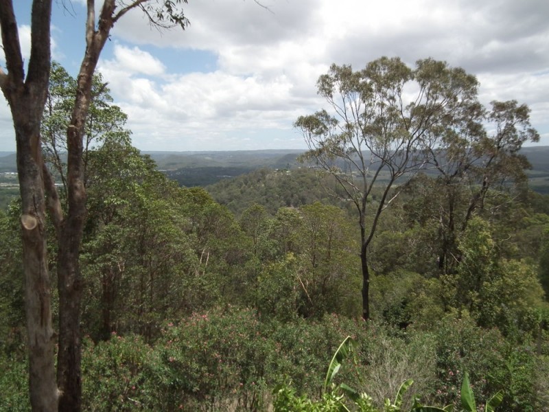 36 Honeydew Place, Ninderry QLD 4561