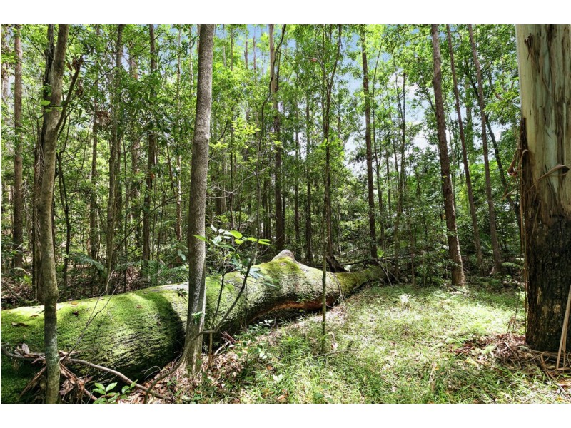 21 Barleycorn Avenue, Buderim QLD 4556