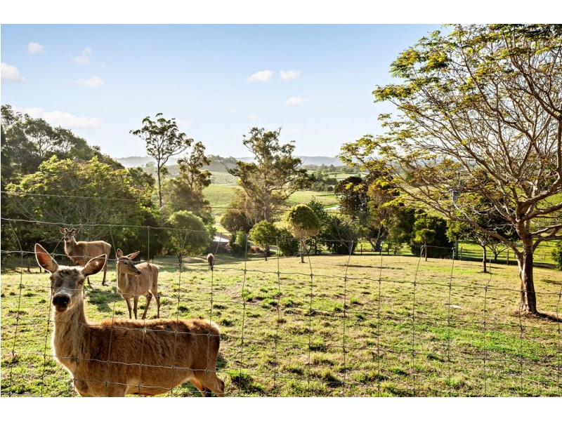 160 Thompson Road, Dulong QLD 4560