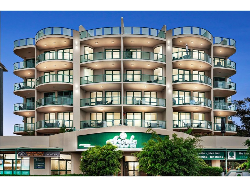 31/31 Cotton Tree Parade, Maroochydore QLD 4558