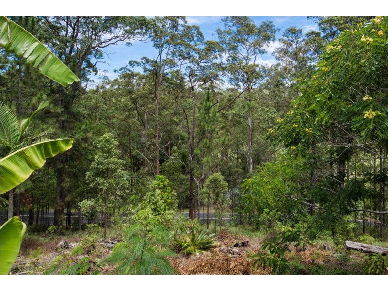 47 Andersen Road, Diamond Valley QLD 4553