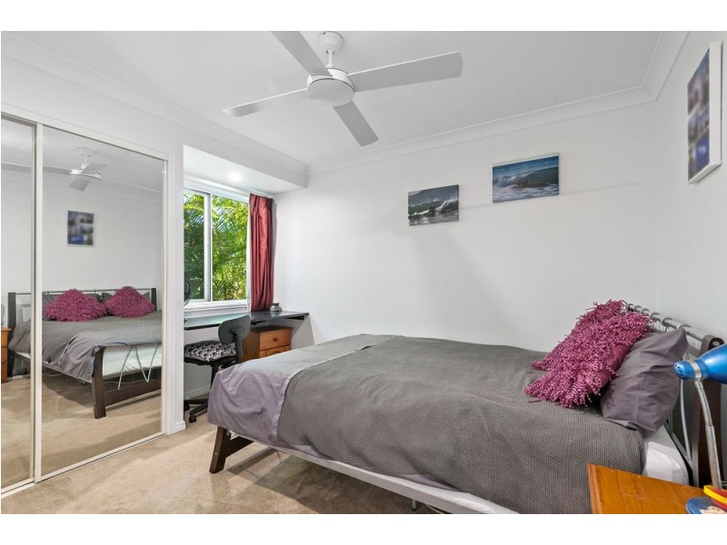 11 Sweetbrush Place, Mountain Creek QLD 4557