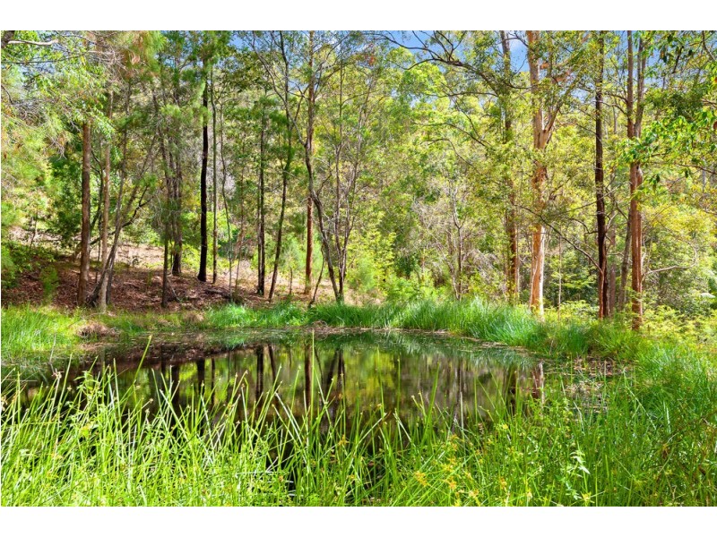 307 Ilkley Road, Ilkley QLD 4554