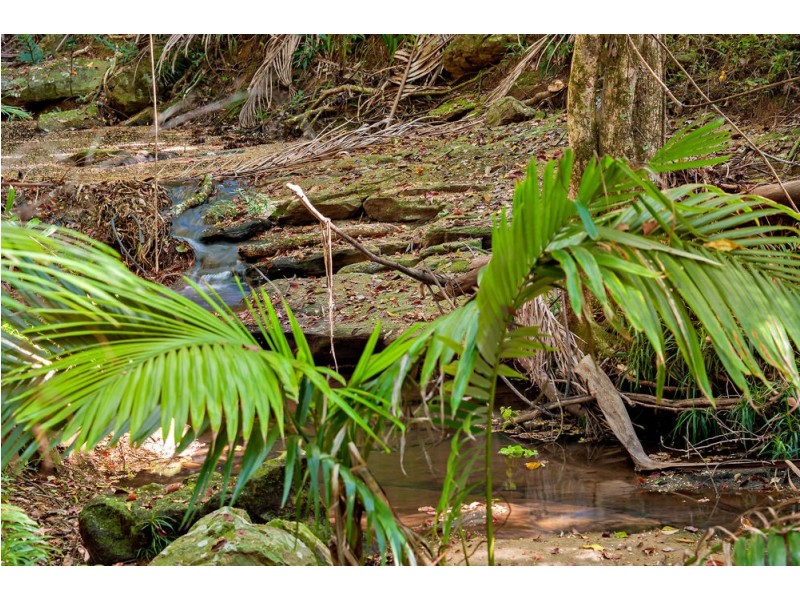 24 Clithero Avenue, Buderim QLD 4556