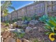16 Cania Crescent, Petrie QLD 4502