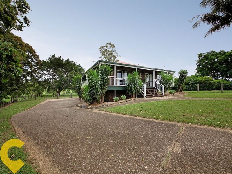 3 Appaloosa Court, Dayboro QLD 4521