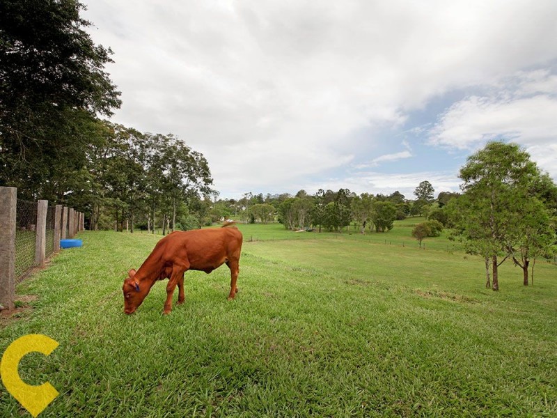 3 Appaloosa Court, Dayboro QLD 4521