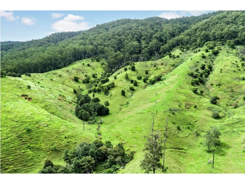 1 Chambers Road, Mount Pleasant QLD 4521