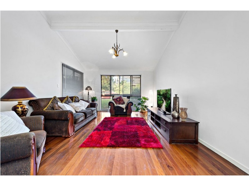 19 Eldorado Street, Bracken Ridge QLD 4017