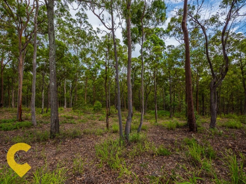 15-29 Eveleigh Street, Arana Hills QLD 4054