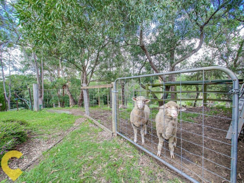 22 Endwood Court, Highvale QLD 4520