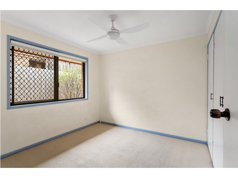 31 Cobalt Street, Keperra QLD 4054