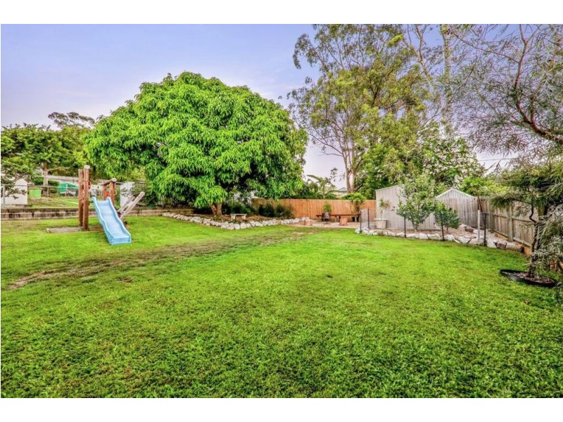 16 Cycas Street, Arana Hills QLD 4054