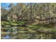 245 Pringles Road, Kobble Creek QLD 4520