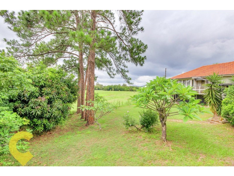 12 Venning Street, Everton Park QLD 4053