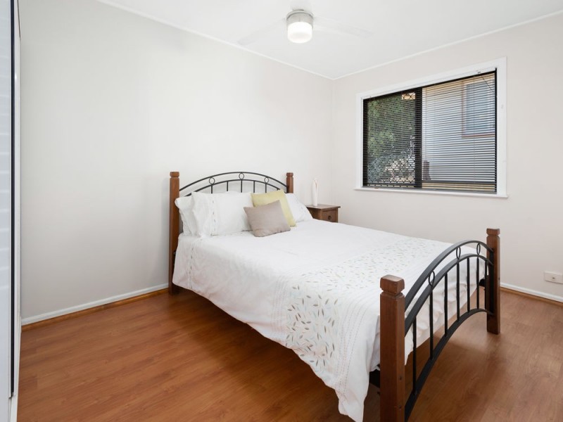 8 Cornucopia Street, Manly West QLD 4179