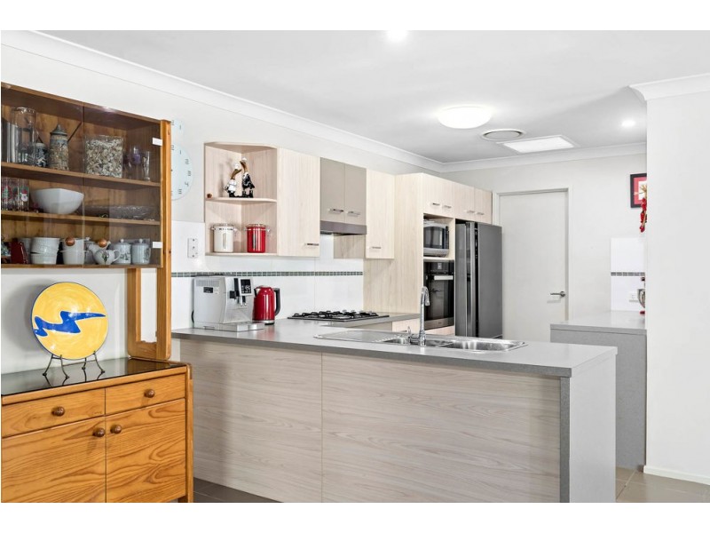 19 Melicope Place, Carseldine QLD 4034