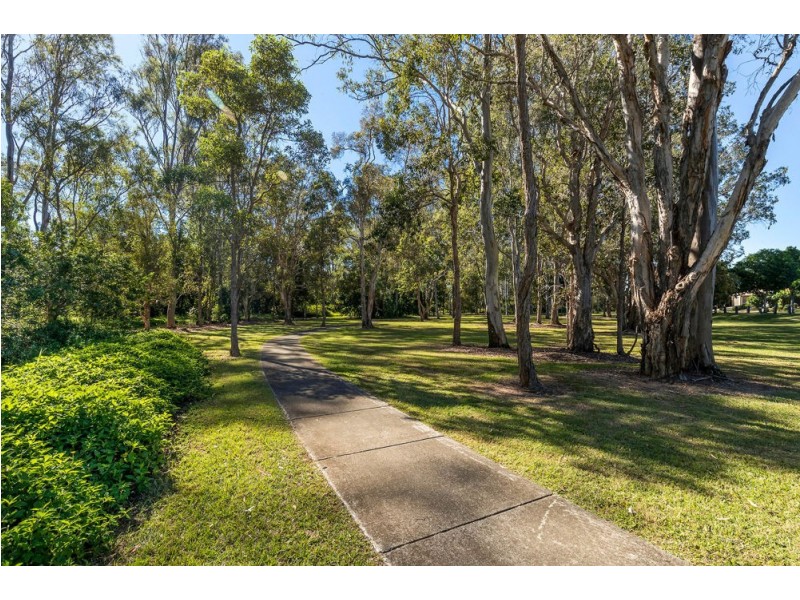 19 Melicope Place, Carseldine QLD 4034