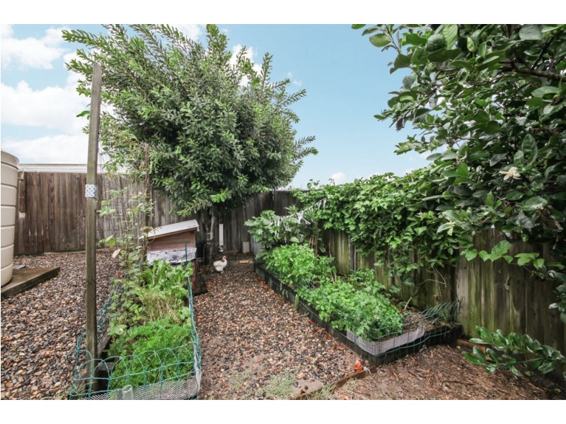 14 Winlock Circuit, Warner QLD 4500