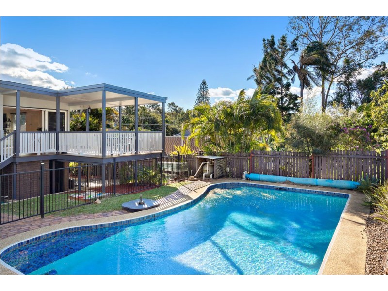 17 Cestrum Street, Arana Hills QLD 4054