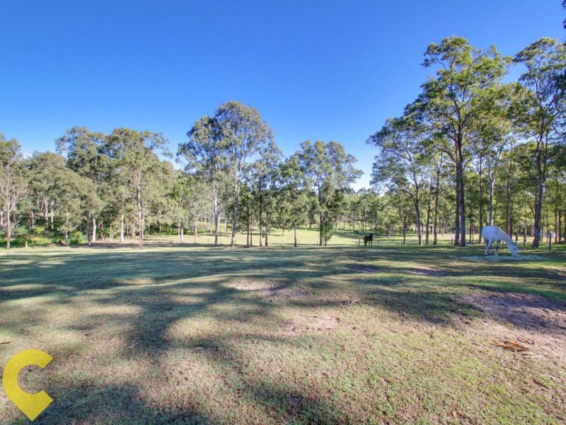 Camp Mountain QLD 4520