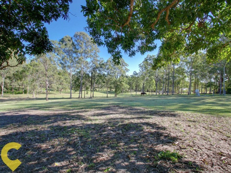 Camp Mountain QLD 4520