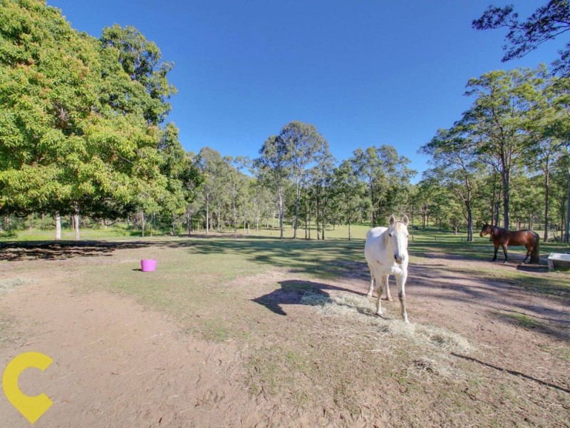 Camp Mountain QLD 4520