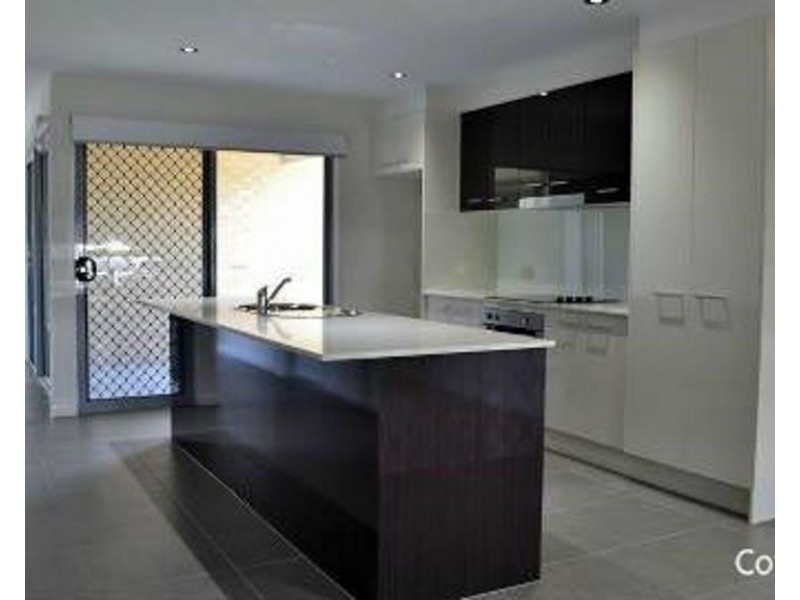 41 Sedgemoor Street, Carseldine QLD 4034