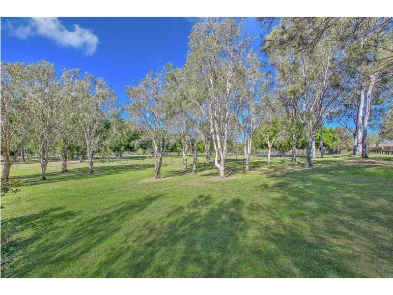 5 Annesley Crescent, Boondall QLD 4034