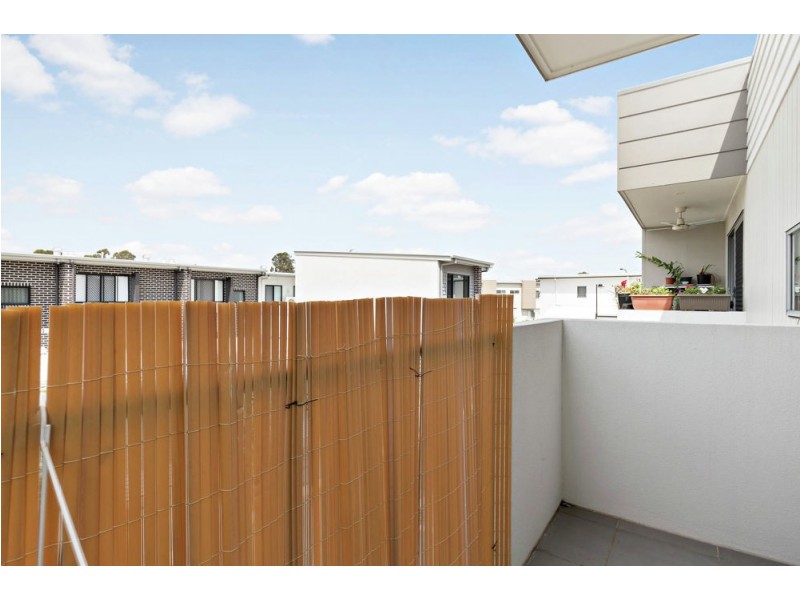 17 Tomaree Lane, Fitzgibbon QLD 4018