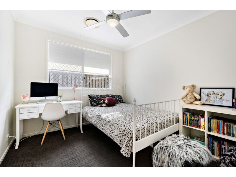 19 Carnarvon Crescent, Fitzgibbon QLD 4018