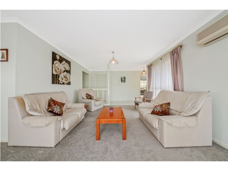 34 Whitehorse Street, Carseldine QLD 4034