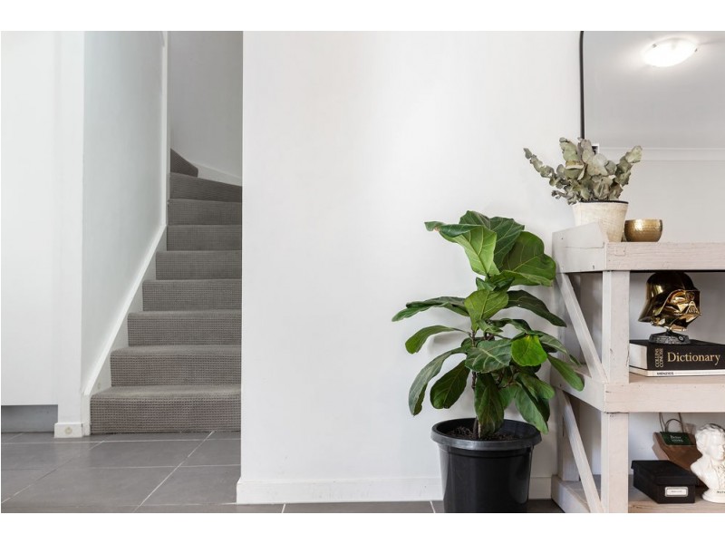 1/125 Cowie Road, Carseldine QLD 4034