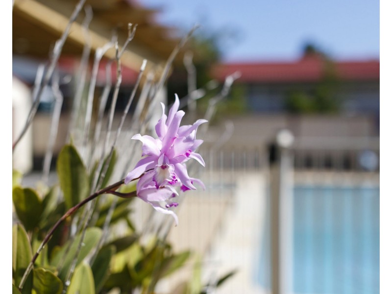 19 Tahiti St, Taigum QLD 4018