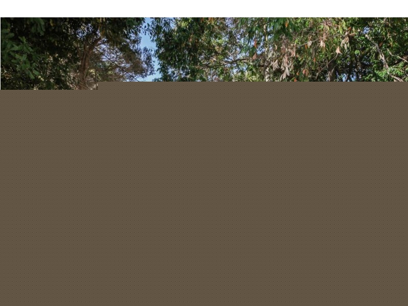 23 Thompson Street, Zillmere QLD 4034