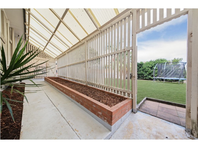 31 Nevin Street, Aspley QLD 4034