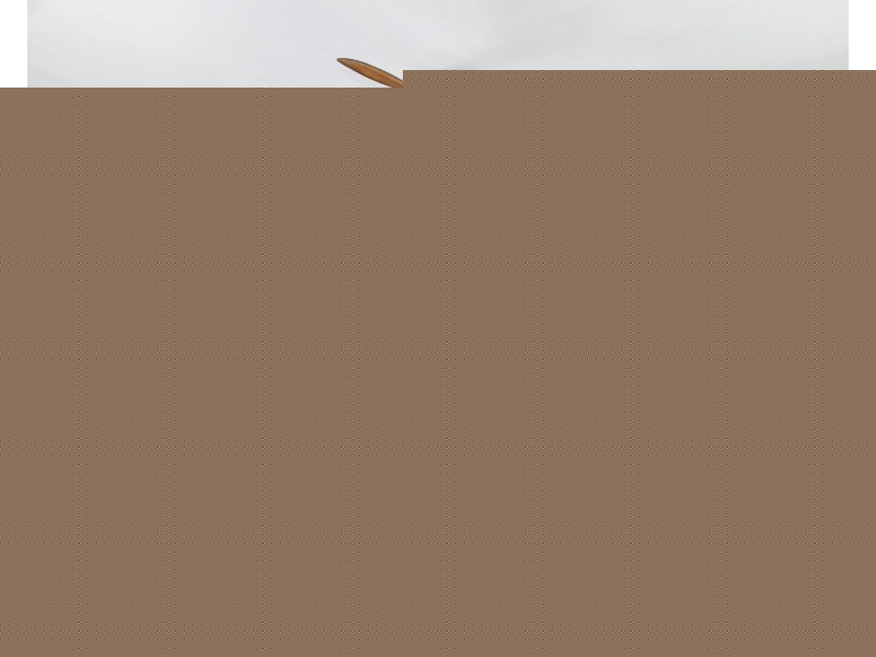 10 Butland Street, Bracken Ridge QLD 4017